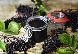 Elderberry Extract