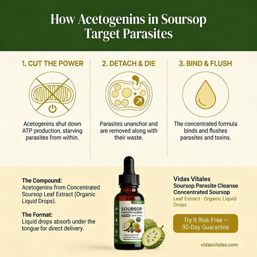 Vidas Soursop Parasite Cleanse
